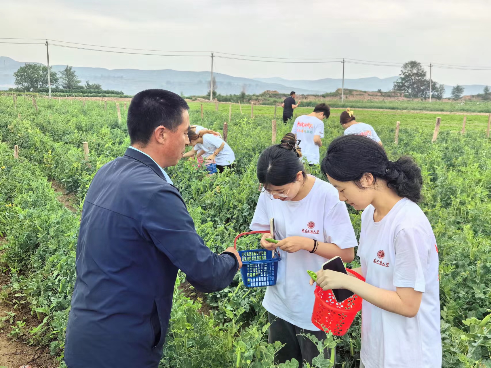 乐虎国际·lehu(中国)官方网站登录